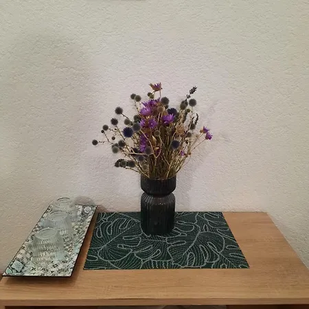 Apartmán Emir Eforie Nord