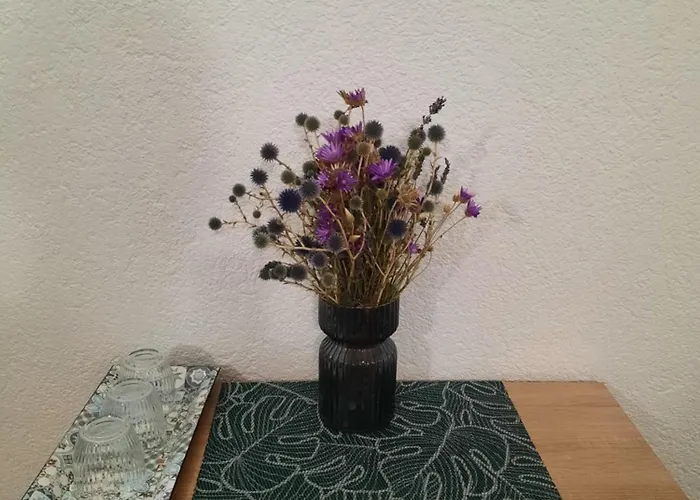 公寓 Emir 艾福雷诺德